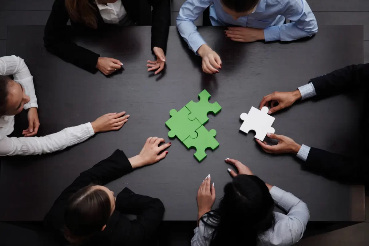 Team Development & Coaching